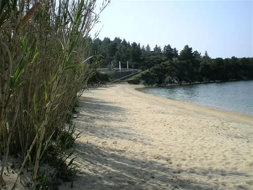 campsite-stavros-neos-marmaras-rqstv