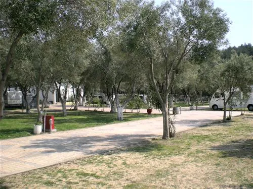 campsite-stavros-neos-marmaras-yfieg