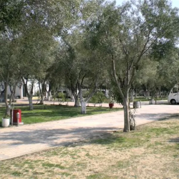 campsite-stavros-neos-marmaras-yfieg