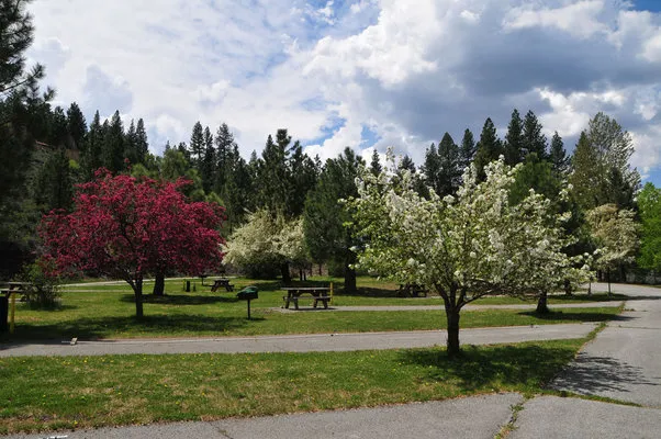 truckee-river-rv-park-truckee-ri0o3