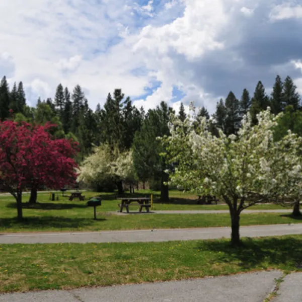 truckee-river-rv-park-truckee-ri0o3