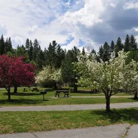 truckee-river-rv-park-truckee-ri0o3