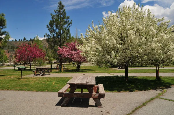 truckee-river-rv-park-truckee-yfggm
