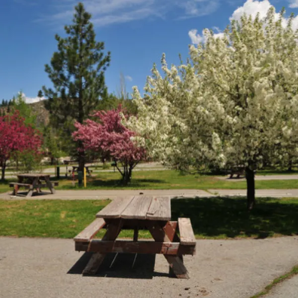 truckee-river-rv-park-truckee-yfggm