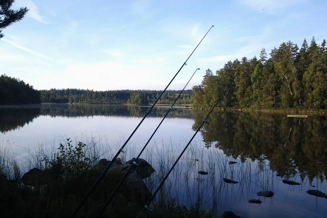 hatteboda-vildmarkscamping-vm-urshult-6kxo3