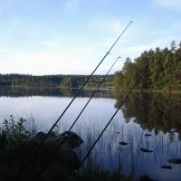 hatteboda-vildmarkscamping-vm-urshult-6kxo3