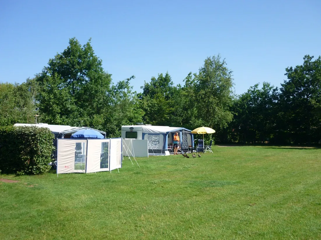 t-ruige-veld-st-maartenszee-myxsx
