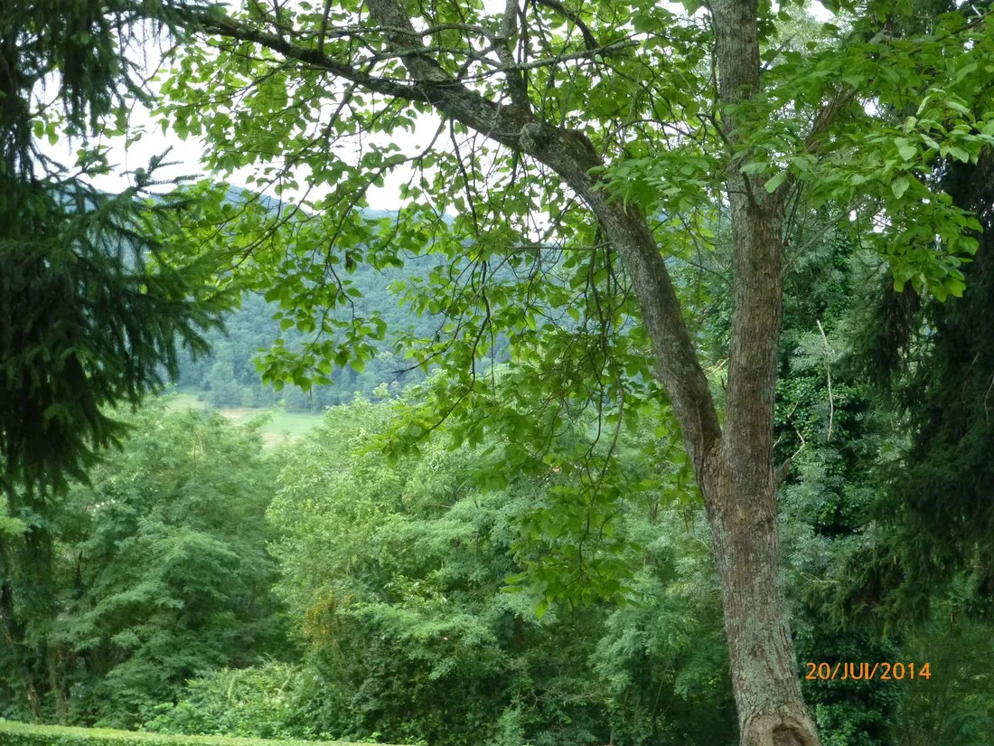 parc-de-paletes-st-girons-jomyp