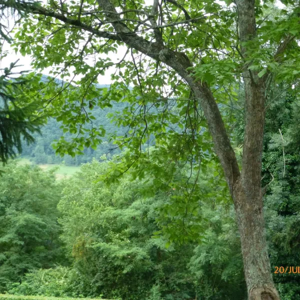 parc-de-paletes-st-girons-jomyp