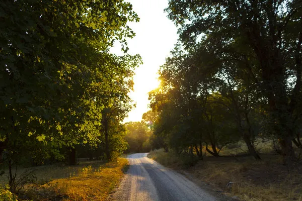 high-creek-campground-richmond-mxvfs