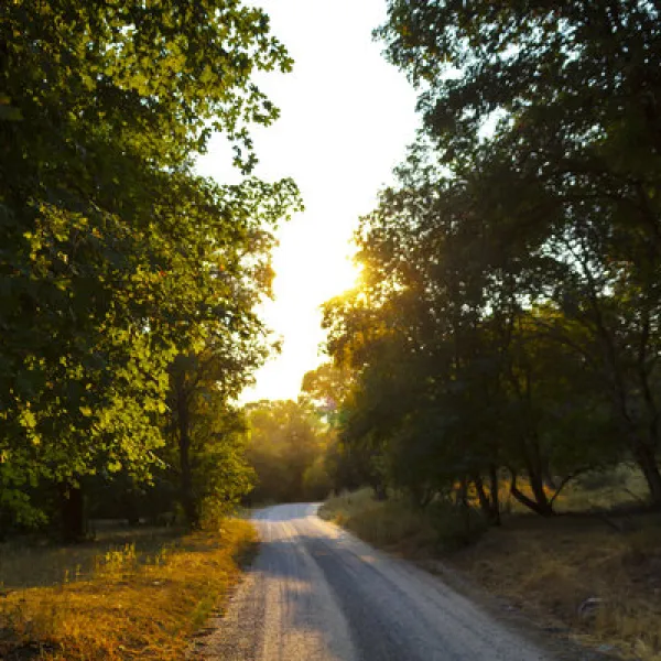 high-creek-campground-richmond-mxvfs