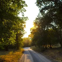 High Creek Campground