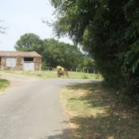 Ferme Auberge du Caillol / M. Francis Blanc