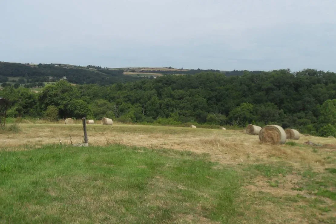 ferme-auberge-du-caillol-m-francis-blanc-salles-pstgr