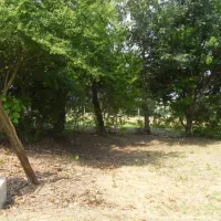 ferme-auberge-du-caillol-m-francis-blanc-salles-xcllf