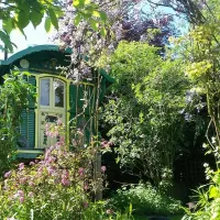 alde-garden-saxmundham-v6lj1