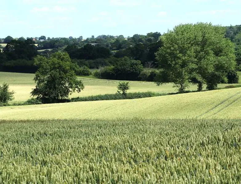 alde-garden-saxmundham-xcwq3