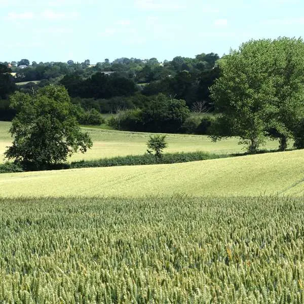 alde-garden-saxmundham-xcwq3