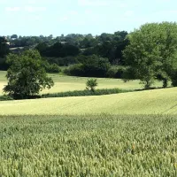 alde-garden-saxmundham-xcwq3