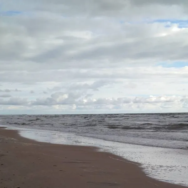 camping-at-the-sea-palanga-c9hld