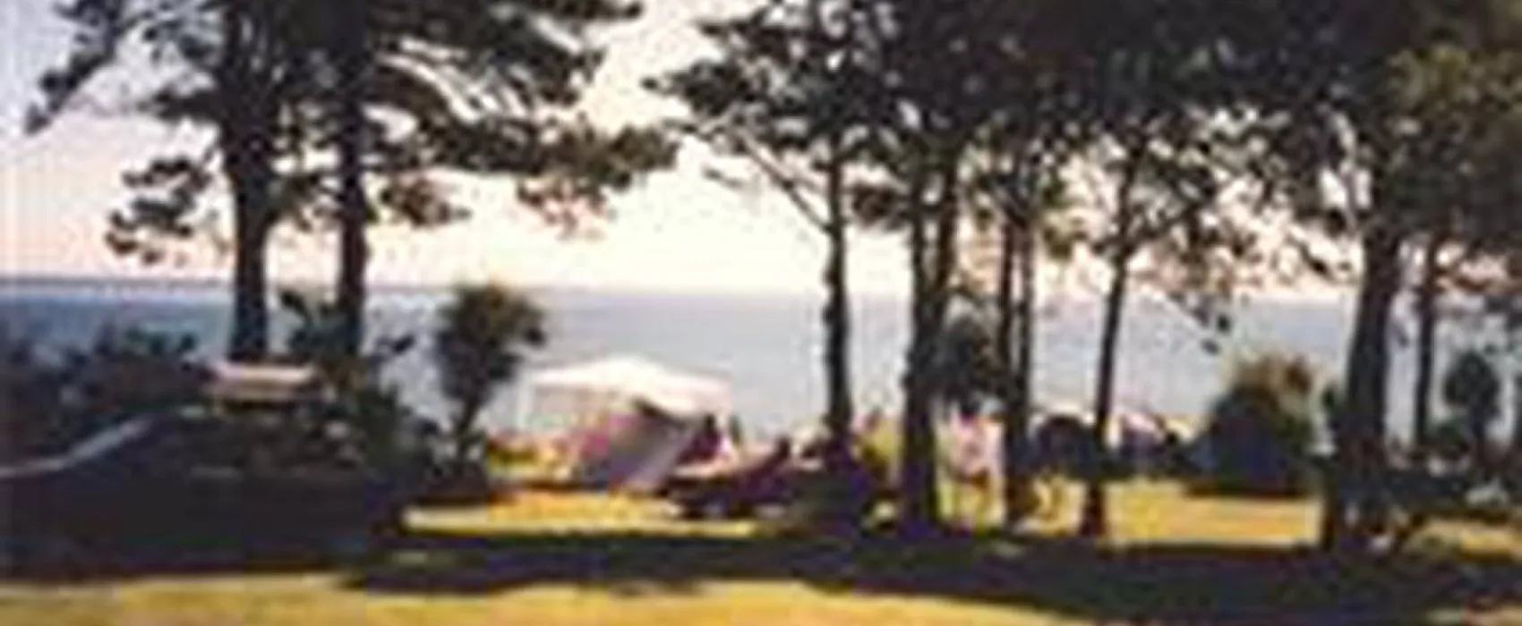 Klitgård Camping