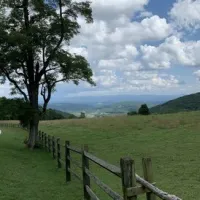 Rocky Hollow Horse Camp