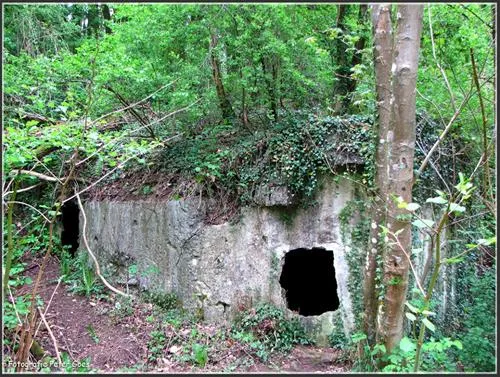 camping-moulin-de-la-falize-bouillon-8vlgr