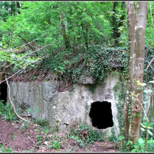 camping-moulin-de-la-falize-bouillon-8vlgr