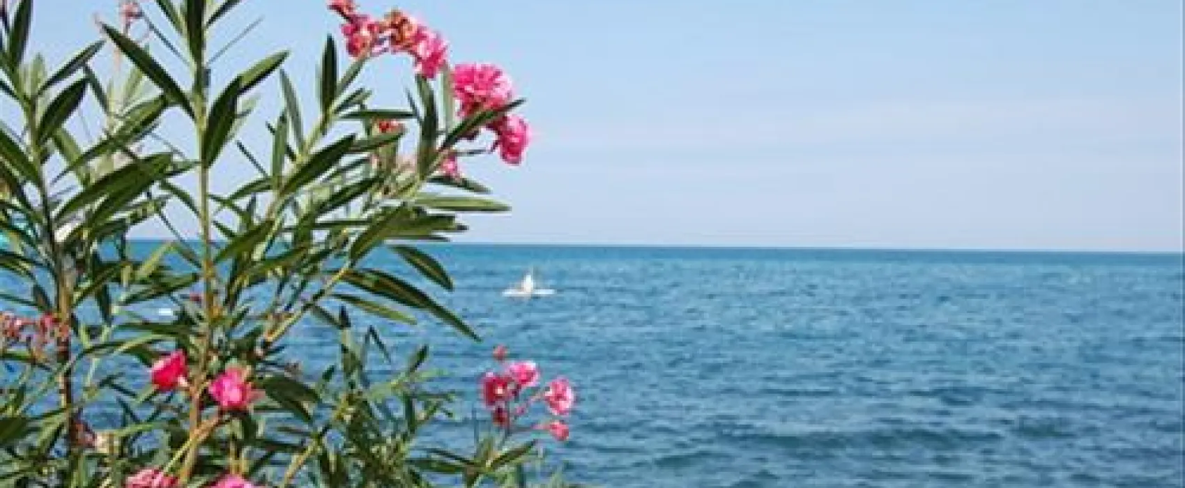 Camping Jadranka