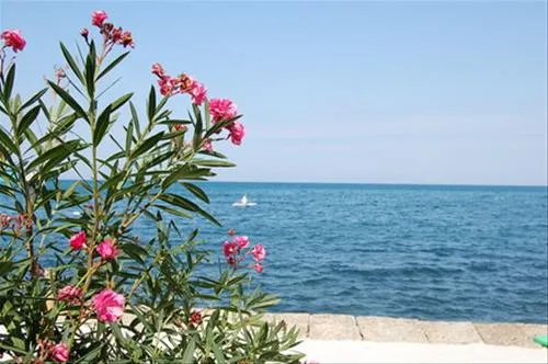 camping-jadranka-izola-3s5of
