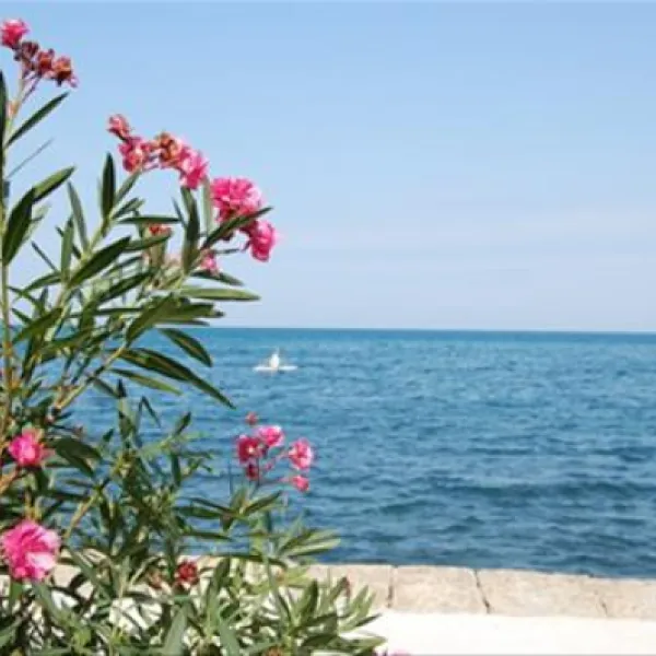 camping-jadranka-izola-3s5of