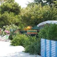 camping-jadranka-izola-xcvwk