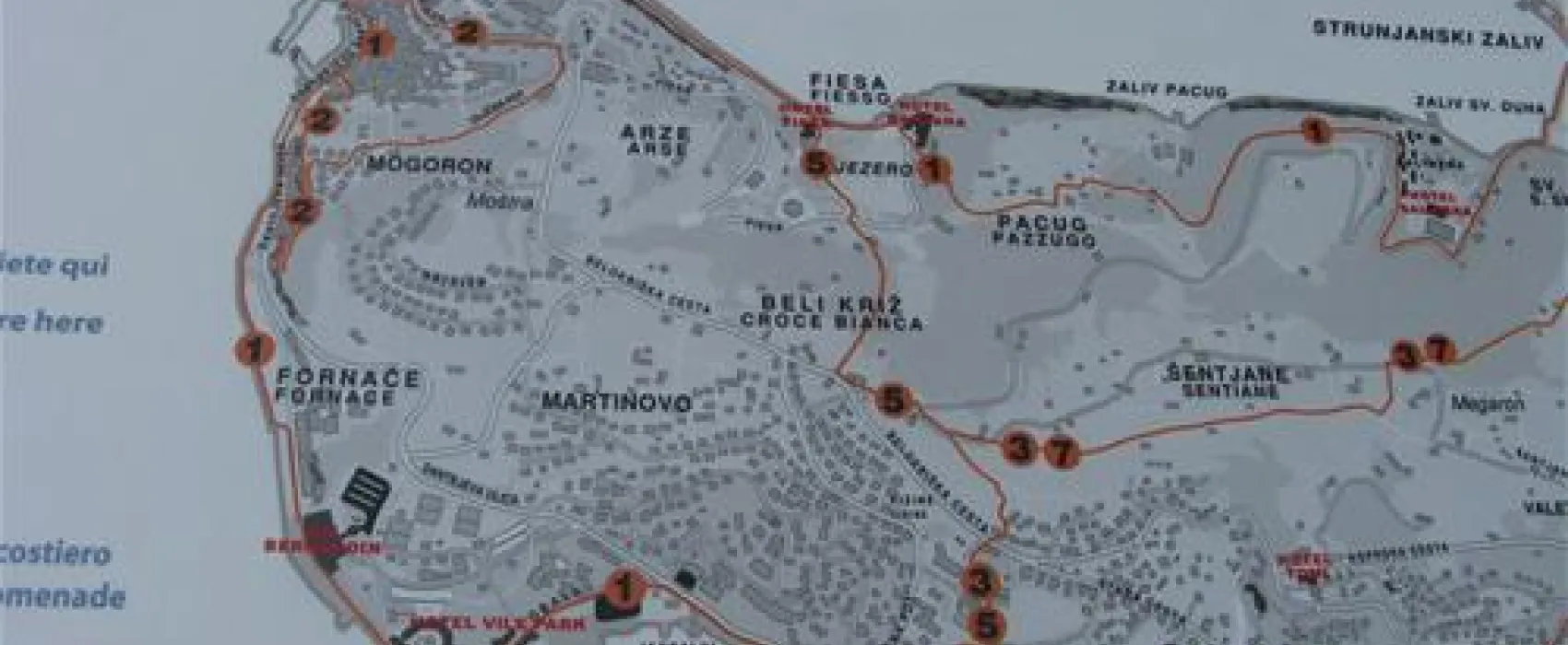 Camp Fiesa