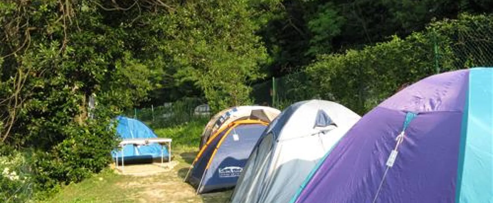 Camp Fiesa