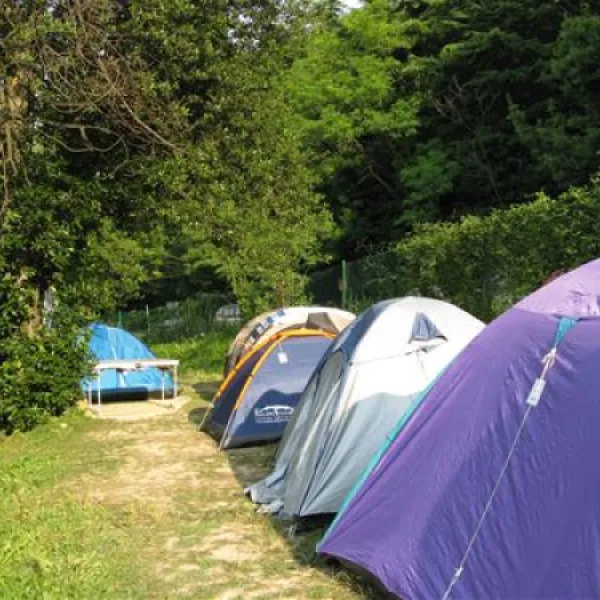 camp-fiesa-piran-gwhoj