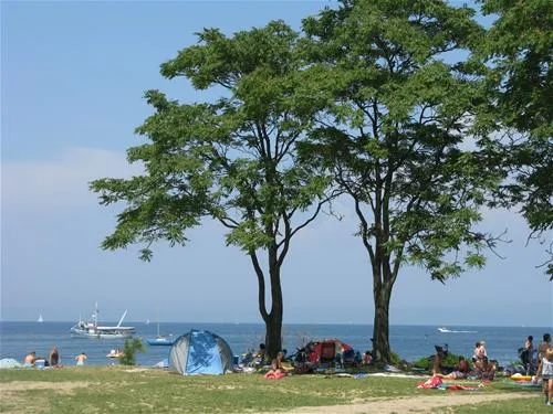 camp-fiesa-piran-if3k8