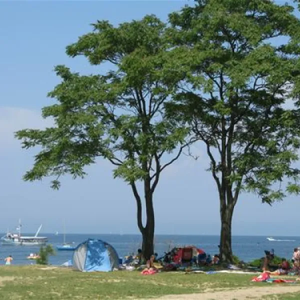 camp-fiesa-piran-if3k8