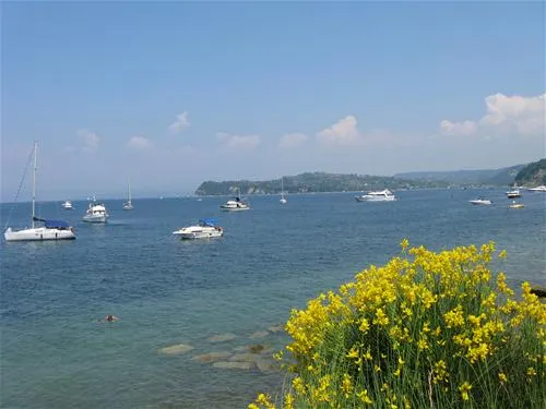 camp-fiesa-piran-zlun9