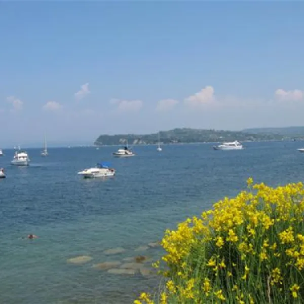 camp-fiesa-piran-zlun9