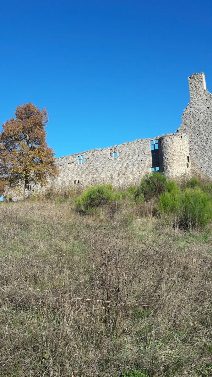 camping-municipal-viverols-g3uft