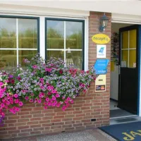 camping-janse-zoutelande-alfct