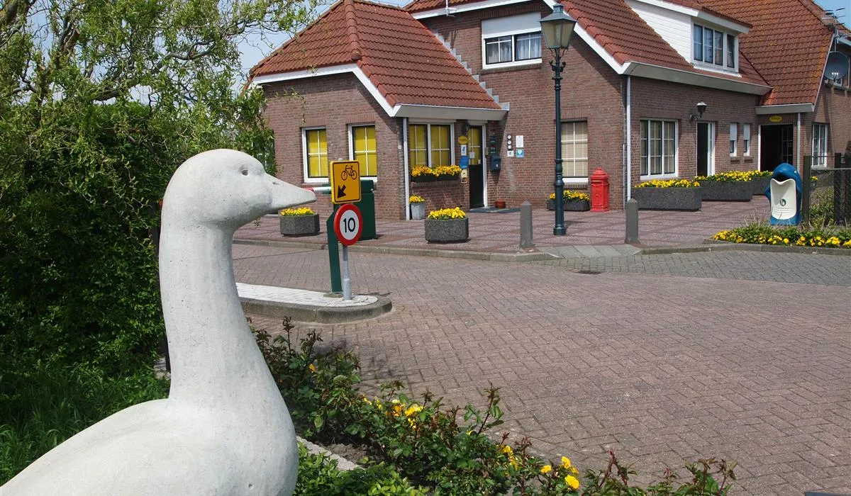 camping-janse-zoutelande-gopo7