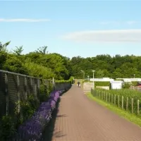 camping-janse-zoutelande-kglu3