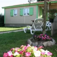 flower-camping-utahbeach-sainte-marie-du-mont-aqgqi
