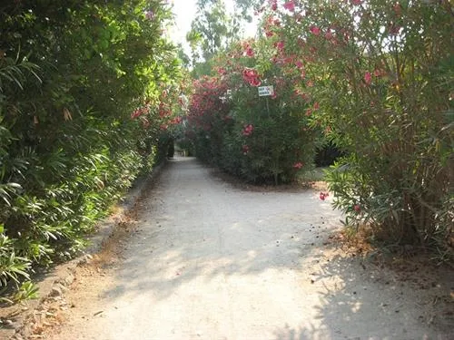 campeggio-mulino-dacqua-otranto-wwwsm
