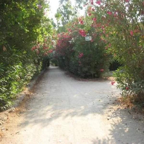 campeggio-mulino-dacqua-otranto-wwwsm
