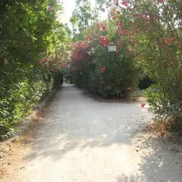 campeggio-mulino-dacqua-otranto-wwwsm