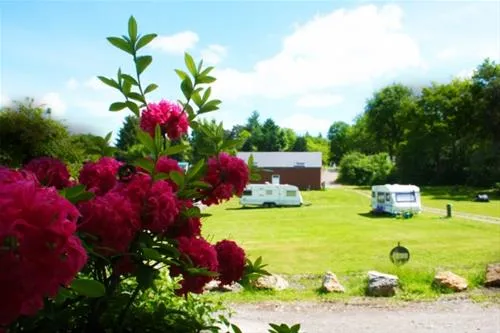 eurocampingpaola-marcheenfamenne-zum18