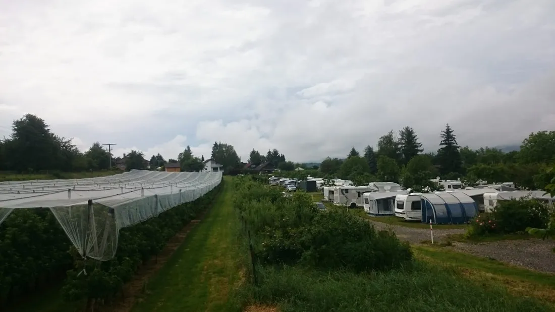 campinggarten-wahlwies-wahlwies-qd2iv