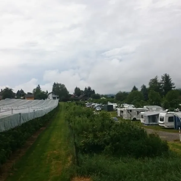 campinggarten-wahlwies-wahlwies-qd2iv
